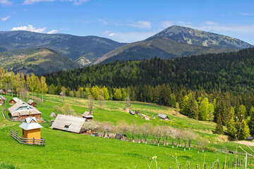 Wall Mural - village in Carpathian Mountains, Ukraine.