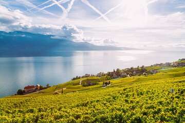 Wall Mural - Lavaux, Switzerland: Lake Geneva and the Swiss Alps landscape seen from Lavaux vineyard tarraces in Canton of Vaud