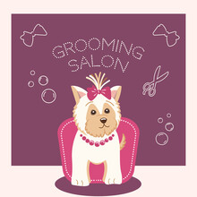 A Stylish Funny And Pretty Dog In A Grooming Salon (pet Care Salon), In An Armchair In Front Of A Illuminated Mirror. Pink Pallet Colorors.
