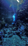 Fototapeta Do akwarium - Underwater photo from a scuba dive in a cave with rays of light
