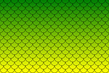 Colorful Fish Scales Or Mermaid Scales Pattern Background.