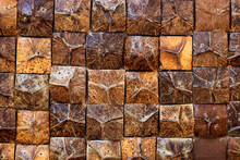 Tropical Coconut Shell Texture Wall Background