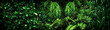 © Jirawatfoto - abstract stunning panorama green leaf texture, tropical leaf foliage nature dark green background. green banners nature tropical concept.