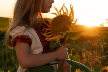 A Beautiful Girl In An Embroidered Shirt Against A Background Of Sunflowers. Independence Of Ukraine, Constitution, Sobornist, Day Of Vyshyvanka. Postcard, Poster, Calendar
