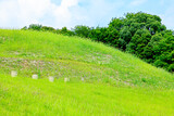 Fototapeta  - 夏の沖出古墳　福岡県嘉麻市　Summer Okiide burial mound. Fukuoka-ken Kama city.