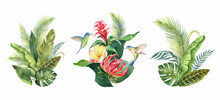 Watercolor Vector Set With Tropical Leaves, Flowers And Hummingbirds.