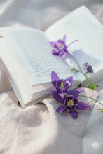 Aesthetic Still Life Of Beautiful Purple Flowers On Linen Napkin And Open Blurred Book. Summertime. Picnic With A Book In Nature.