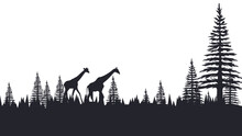 Vector Illustration Of Fir Tree Scenery With Two Giraffes Isolated On White Background