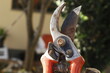 © dreaming doesn't cos - close up of a shears