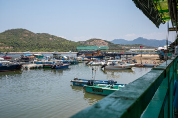 boats in the harbor