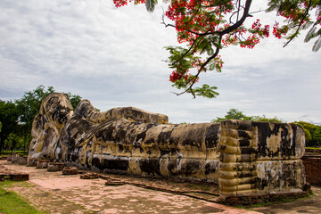 Wall Mural - the largest Reclining Buddha statue  in Wat Lokayasutharam Ayutthaya Thailand. 
At 42 metres long and 8 metres high, the statue towers over the devotees who come here to make offerings.