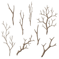 Sticker - Set of dry bare branches. Decorative natural twigs.
