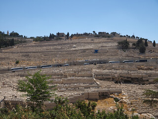 Wall Mural - the Mount of Olives