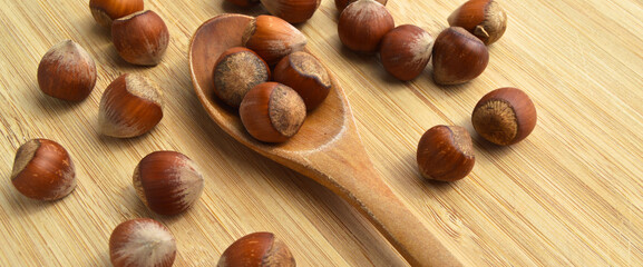 Fresh tasty organic hazelnut filbert, on wooden spoon