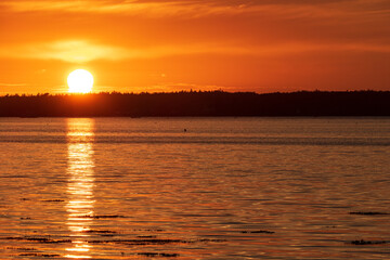 Wall Mural - sunset over the river