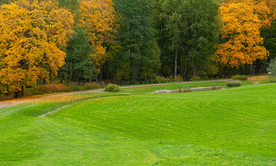 Wall Mural - reen lawn in front of autumn trees