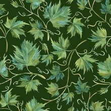 Seamless Pattern Of Grape Leaves In A Watercolor Painting Style Illustration On Dark Green Background