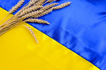 Poster - Fabric wave flag of Ukraine with wheat spikes. Blue and yellow bright colors. Curved texture background