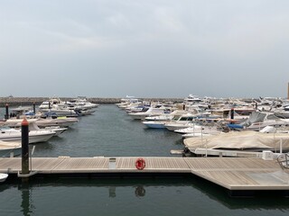 boats in the harbor