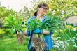 © Valerii Honcharuk - Woman in gardening gloves holding bush of hosta sedum daffodils plant with roots for dividing planting