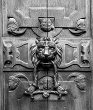 Stunning Detail Of Traditional Lion Head Shaped Door Knocker

