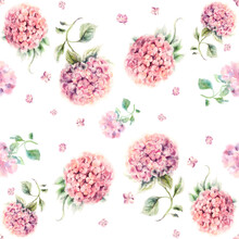 Hydrangea Pink Flower Painted In Watercolor On White Paper Pattern