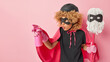 Horizontal shot of scrupulous curly haired woman dressed in superhero costume sprays cleaning detergent holds mop ready to clean something dirty stands against pink background empty space aside