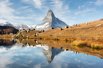 Wall Mural - picturesque view of matterhorn cervino peak and meadow near stellisee lake in swiss alps. black and 