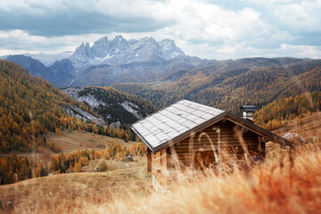 Wall Mural - incredible autumn view at valfreda valley in italian dolomite alps. wooden cabin, yellow grass, oran