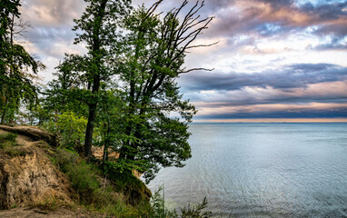 Wall Mural - Orlowo cliff and sandy beach on the coast of the Baltic Sea in Gdynia