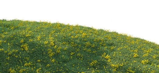 A mound of grass with flowers on a white background.