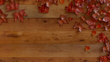 Thanksgiving Wallpaper With Autumn Leaves On Natural Wood Surface.
