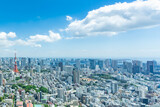 Fototapeta Miasta - 東京風景