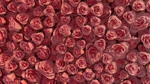 Red, Elegant Flower Blooms Arranged In The Shape Of A Wall. Bright, Romantic, Roses Composed To Create A Beautiful Floral Background. 3D Render