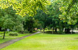 Fototapeta Krajobraz - fresh green leaves frame blur background