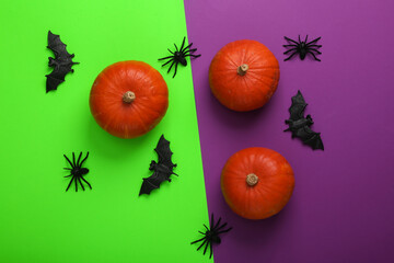 Wall Mural - Orange pumpkins, bats and spiders on green-purple background. Halloween minimal still life. Top view