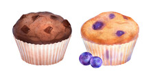 Watercolor Illustrations Of Muffins