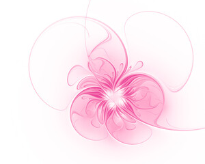 Wall Mural - Pink fractal flower on white background