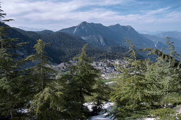 Wall Mural - mountain forest landscape