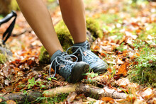 Trekker Stumbling Suffering Sprain On Ankle In A Forest