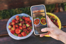 Farmer Photographing Bowl Of Fresh Strawberries Through Smart Phone