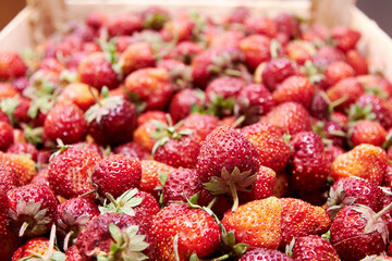 red fresh garden strawberry in fruit box. Foods backgrounds