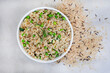Wild and brown rice pilaf with green peas, onion and baby marrow on mottled grey with raw rice and copy space