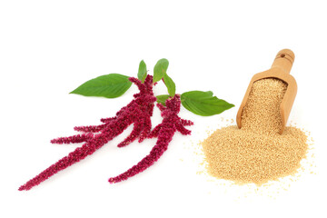 Wall Mural - Amaranth dried grain in a scoop with amaranthus plant in flower. Nourishing health food gluten free, high in antioxidants, protein and micro nutrients. Lowers cholesterol and helps weight loss.  