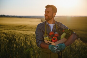 Canvas Print - Male farmer holding box with vegetables in field