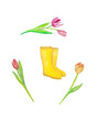 Yellow rain boots and tulips watercolor illustration for springtime