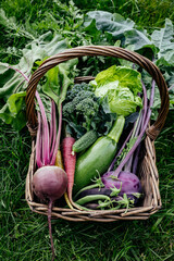 Wall Mural - Basket vegetables cabbage, lettuce, carrots, cucumbers, beets, beans, peas, zucchini, broccoli, purple kohlrabi.