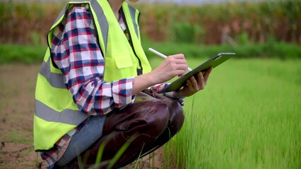 Wall Mural - Farmer woman using digital tablet computer in field, technology application in agricultural growing activity, ..