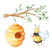 Watercolor Honey Set, Tree Branch, Beehive And Bee