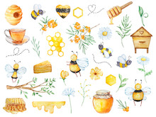 Watercolor Big Honey Set, Bees, Honeycombs, Honey, Beehive, Chamomile, Branch And Flowers